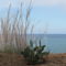 Sea Breeze House