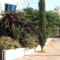 Salonica F1 House