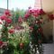 Roses Villa