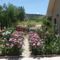Roses Villa