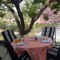 Alonia House 2