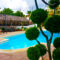 Lofou Luxury Villa