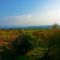 Lofou Luxury Villa