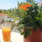 Villa Alysia