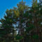 Moniatis Mountain House