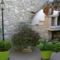 Thalou Stone House