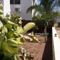 Palms Resort Apartments