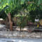 Melani's House