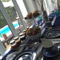 Cerines