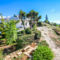 Maroni Holiday Homes