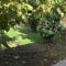 Kourou Lodge
