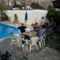 The Nest Villa