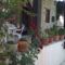 The Nest Villa