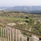 Giannos Traditional Homestay