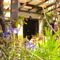 Vasilias Nikoklis Inn