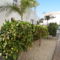 Villa Tranquility