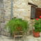 Traditional Village Houses